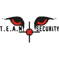 Team Security AS logo - Similar company to Borg Research