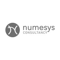 Numesys Consultancy logo - Similar company to Numesys