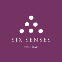 Six Senses Con Dao logo - Similar company to Susong