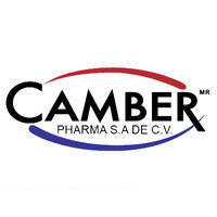 Camber México logo - Similar company to Vadsa