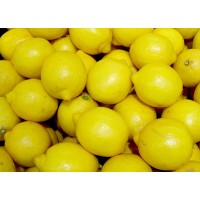 Lemon Juice Personnel logo - Similar company to Nrb Risk Solutions
