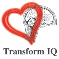 Transform IQ logo - Similar company to Transformiq Llc