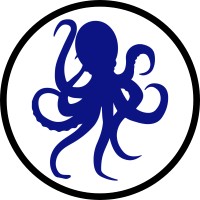Octopus Strategic Partners logo - Similar company to Itradingexpo