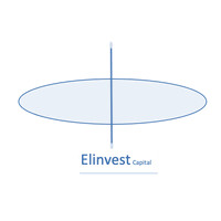 Elinvest Capital logo - Similar company to Efuels Solutions