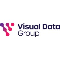 Visual Data Group logo - Similar company to Datamartin