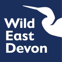 Wild East Devon logo - Similar company to St Loye'S Foundation