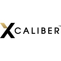 Xcaliber logo - Similar company to Cerebral Elevation