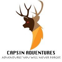 MsafiriAdventures logo - Similar company to Wild Lab Projects