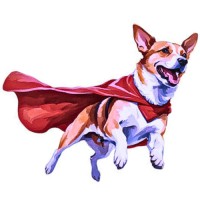 Axial PR logo - Similar company to Appixels