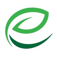Nona(Mana green energy) logo - Similar company to Wingsnovaa | وینگزنُوا