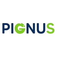PIGNUS logo - Similar company to Minverso