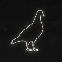 Pigeon Row logo - Similar company to Basement Digital