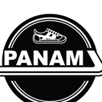 PANAM MX logo - Similar company to Mti Brands