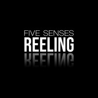 Five Senses Reeling logo - Similar company to Playball Australia