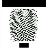 Museo del Tessuto logo - Similar company to Textilmuseum St.Gallen