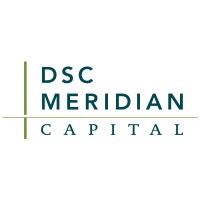 DSC Meridian Capital logo - Similar company to Youth Finance For Good Inc.