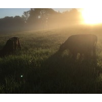 Deer Run Acres