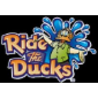Ride The Ducks Of San Francisco