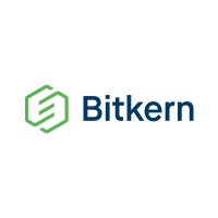 Bitkern Group logo - Similar company to Zebrasics Official