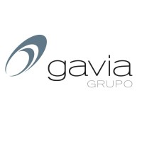 GRUPO GAVIA logo - Similar company to Soulwork
