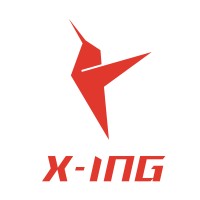 Xing Technologies logo - Similar company to Tessvida Technologies Pte.Ltd.