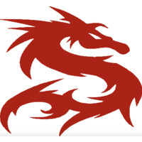 Dragon Marine LLC logo - Similar company to Jd Marine & Sons Ltd