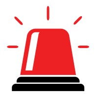 The Carnegie Initiative logo - Similar company to Maven Proposal Architects™