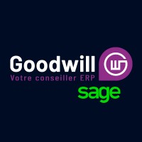 Goodwill Consulting logo - Similar company to Sotradies