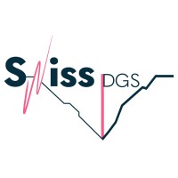 SwissDGS logo - Similar company to Swisspowershift