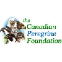 Canadian Peregrine Foundation