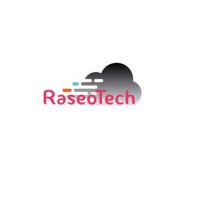 RaseoTech Digital logo - Similar company to Interim Technology