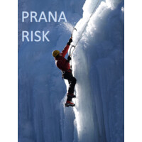 Prana Risk Insurance Brokers & Agents logo - Similar company to Cymetry One