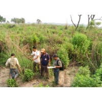 Diversity Intelligence in Climate Action, LLC