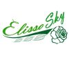 ElissoSky logo - Similar company to Kuber Grains