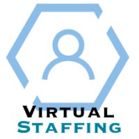 Virtual Staffing Network logo - Similar company to Empire Virtual Staffing