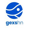 gexshn: Expertos en GIS logo - Similar company to Rockswise