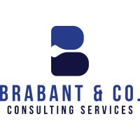 Brabant & Co Consulting Services logo - Similar company to Load Secure