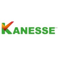 KANESSE logo - Similar company to Edav