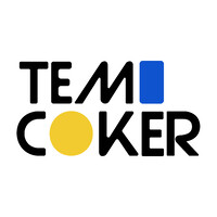 Temi Coker logo - Similar company to Lebassis