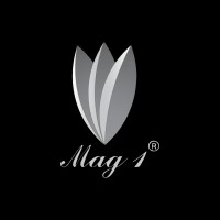 Mag1 logo - Similar company to Aurilio