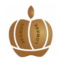 Lowase Management Consulting logo - Similar company to Finace Wave Africa