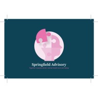 Springfield Advisory Ltd logo - Similar company to Stori Cymru