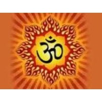 Bellevue Hindu Temple and Cultural Center logo - Similar company to Texas Murugan Temple Foundation