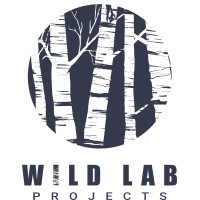 Wild Lab Projects logo - Similar company to Kobalann Éditions - Production
