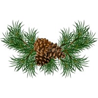 Georgia Pines CSB logo - Similar company to Legacy Behavioral Health