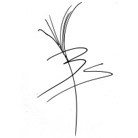 Barisbor Psicología logo - Similar company to Red-I