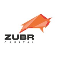 Zubr Capital Investment Company logo - Similar company to Buffer Group