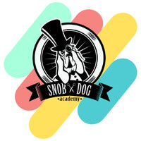 SNOB DOG ACADEMY logo - Similar company to Sanslignedecode - Agence Nocode