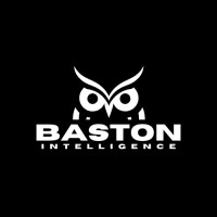 Baston Intelligence logo - Similar company to Plastics By Design Ltd