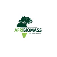 Afribiomass Pty Ltd logo - Similar company to Russel Construction Pty Ltd